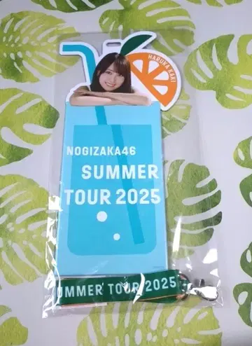 노기자카46 카키 하루카 한여름 전국 투어 2025 개별 티켓 홀더