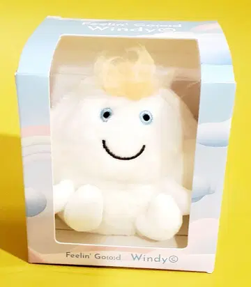 [ 오늘만 판매 ] 후지이 카제 Windy [ 22시까지 ]