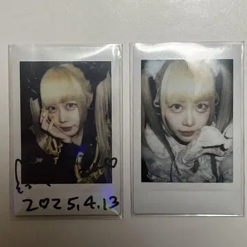 슈뢰딩거의 개 나노뮤 폴라로이드