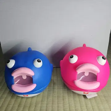 쥐고 푸쿠미