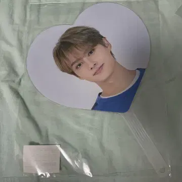 seventeen carat land 2020 부채 준