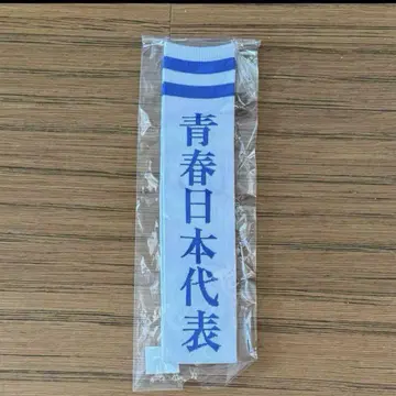 M 사이즈 [ 새상품 ] 새로운 학교의 리더즈 양말 삭스 청춘 일본 대표