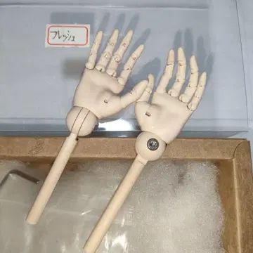 돌피드림 DD 관절 핸드 딜러님 작
