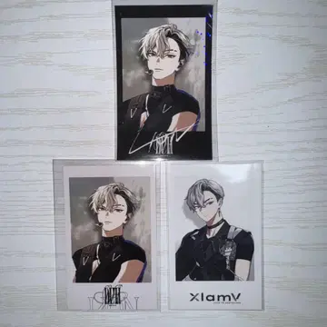 샤타콜 비바 렌 레온 3 vs ambivalenz xlamv