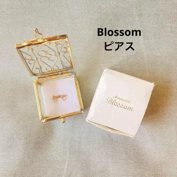 Blossom 귀걸이 케이스 포함 골드