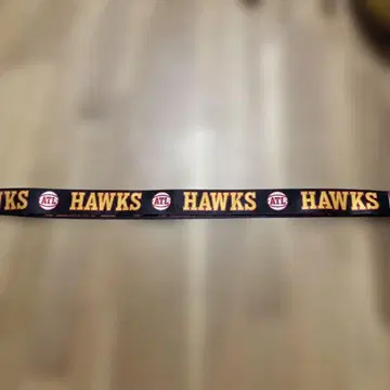 ATLANTA HAWKS 랜야드 빨검