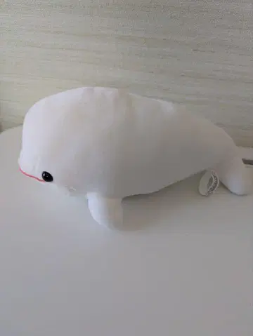벨루가 굿즈