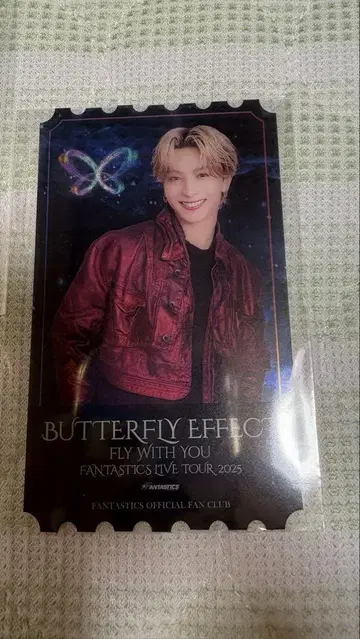 BUTTERFLY EFFECT 기무라 케이토 클리어 사진
