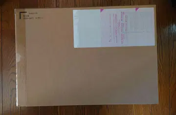 초합금 MSN-04FF 사자비