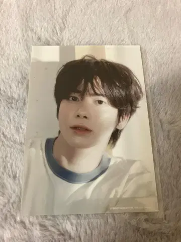 태현 혜택 L판 사진