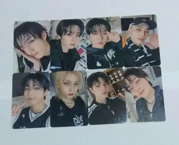 straykids KARMA skzoo ver 트레이딩 카드 매장 혜택