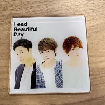 Lead Beautiful Day 아크릴 가공