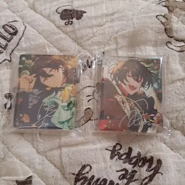 앙스타 애니메이트 카페 콜로타 미오 린츠