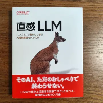 직관 LLM: 핸즈온으로 움직여 배우는 대규모 언어 모델 입문
