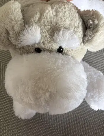 새상품급 슈나와 밥이 엎드린 슈나 봉제 인형