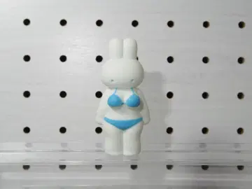 VAG 컴플라이언스 토끼