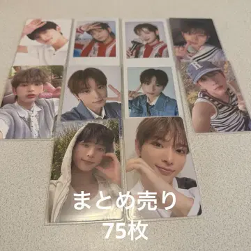 &TEAM HARUA 트레이딩 카드 묶음 판매 75장