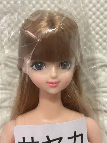 리카짱 캐슬 사야카
