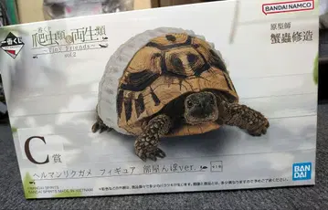 파충류&양서류 제일복권 헤르만육지거북 C상