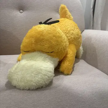 포켓몬스터 메챠모후굿토 쿠츠로기 타임 봉제 인형 코닥