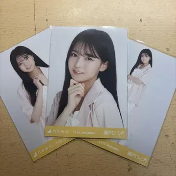 노기자카46 브로마이드 썸머 자켓 세토구치 신츠키 컴프 3종