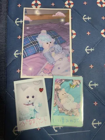 쿠마키치 굿즈