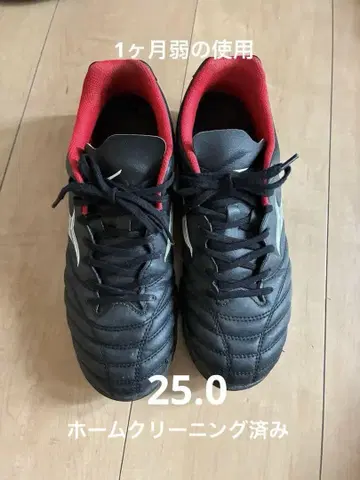 미즈노 모나르시다 축구 트레이닝 슈즈