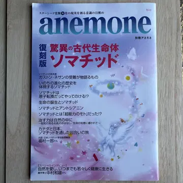anemone 복각판 경이의 고대 생명체 소마티드