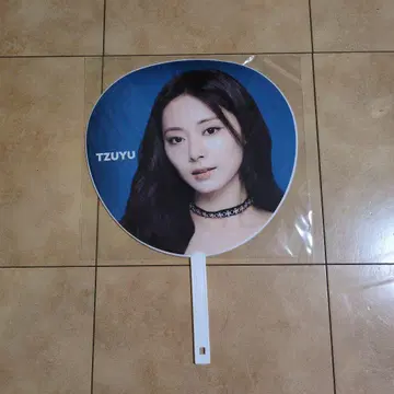 TWICE THIS IS FOR 부채 TZUYU