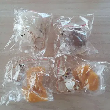 언제나 강아지와 함께 외출 털 보관 키링 가챠 4세트