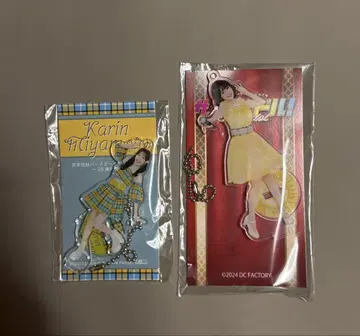 미야모토 카린 FSK 묶음 판매