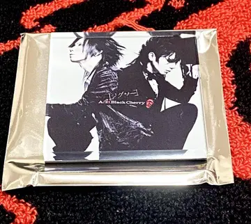 AcidBlackCherry 아크릴 마그넷 지그소 별 재킷 ver.