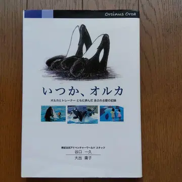 언젠가, 범고래