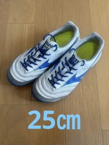 모렐리아 SALA PRO TF 25cm