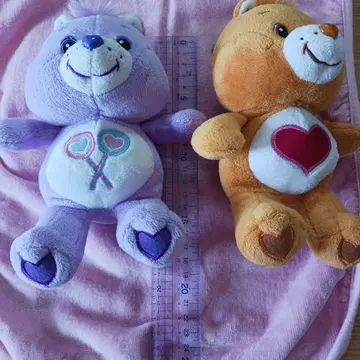 Care Bears 봉제 인형 2개 세트