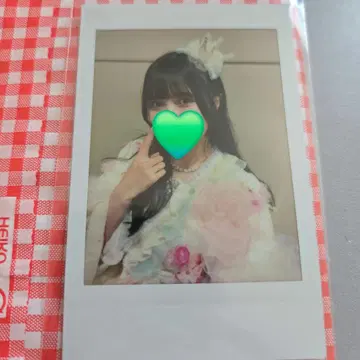 이기가리 도호쿠산 토크포트 폴라로이드 요시세 진주