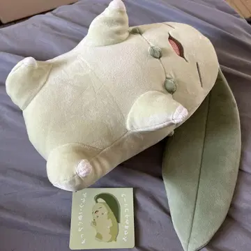 포켓몬 쓰리 봉제 인형 치코리타 포켓몬