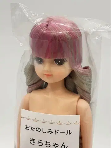 키라짱 오타노시미 인형 실버 퍼플 계열 리카짱 캐슬