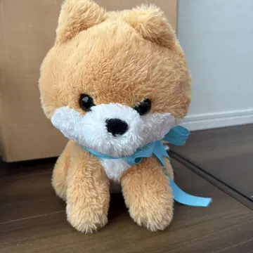포메라니안 봉제 인형