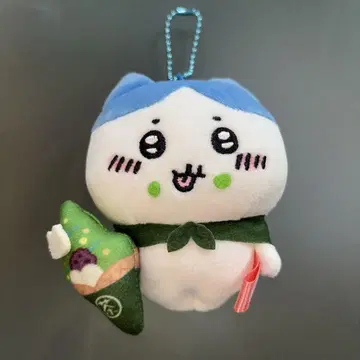 교토 한정판 하치와레