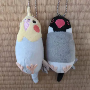 모노콤므사 오카메잉꼬 사쿠라 문조