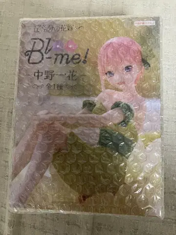 5등분의 신부 나카노 이치카 세트