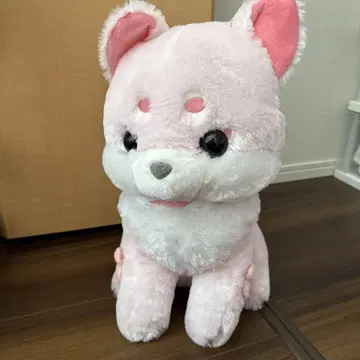 초 네이비와 코마이누