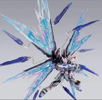 METAL BUILD 스트라이크 프리덤 건담 빛의 날개 옵션 세트