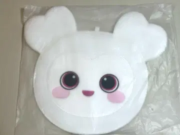 TWICE 더블리 부채 케이스