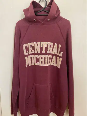 champion 챔피온 후드티 [ USA제 사이즈 L ]