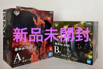 제일복권 원피스 EX 용과 소매를 나란히 한 맹자들 A상 킹 B상 퀸