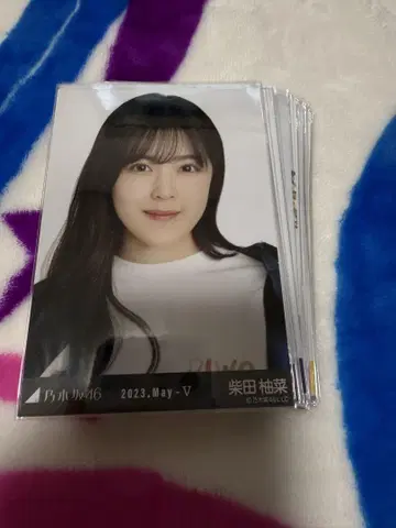시바타 유나 노기자카46 브로마이드 묶음 판매