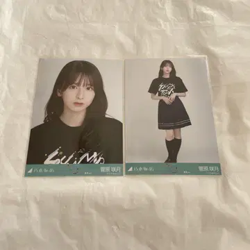 노기자카46 스가와라 사츠키 전국 투어 2025 티셔츠 도쿄 요리 히키