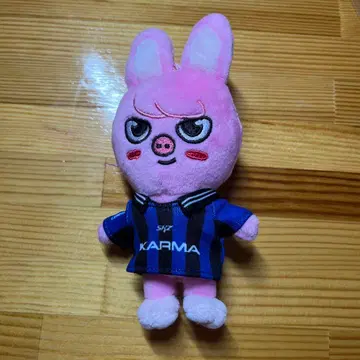 stray kids 돼끼 창빈 KARMA